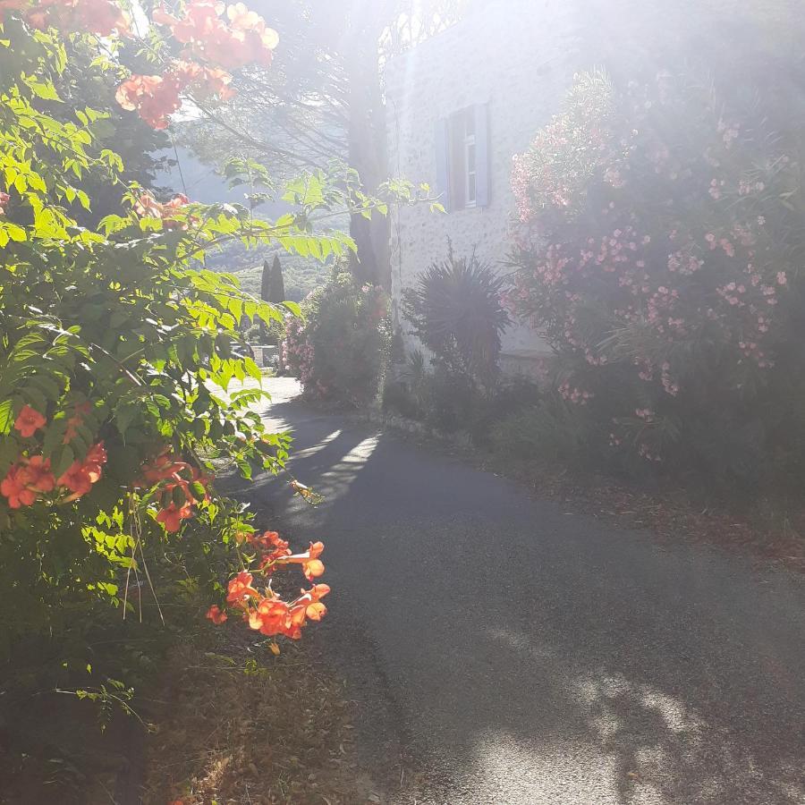 Alma Bella Bed and Breakfast Le Pegue Εξωτερικό φωτογραφία